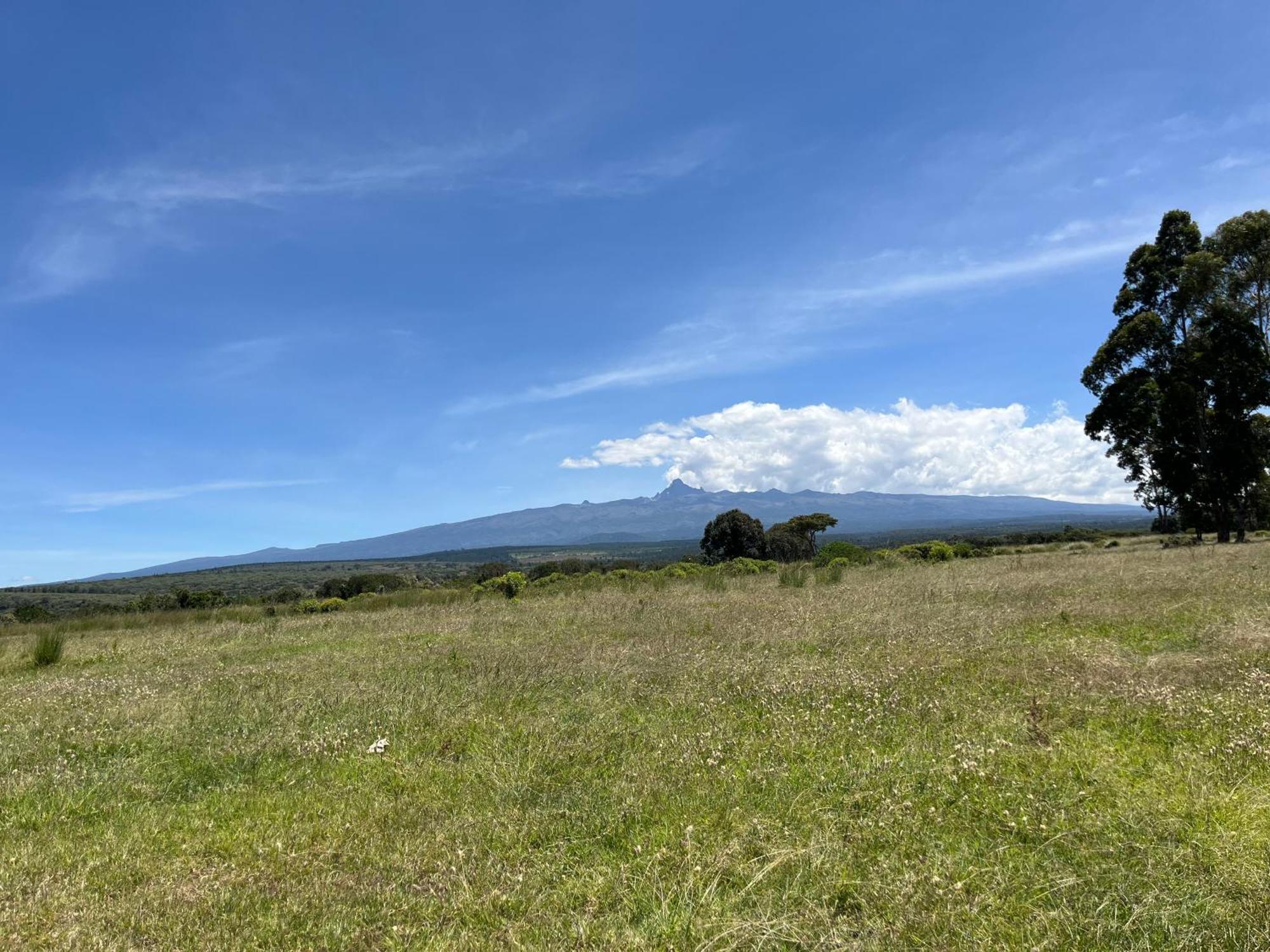 Rafiki House Hotel Nanyuki Eksteriør billede