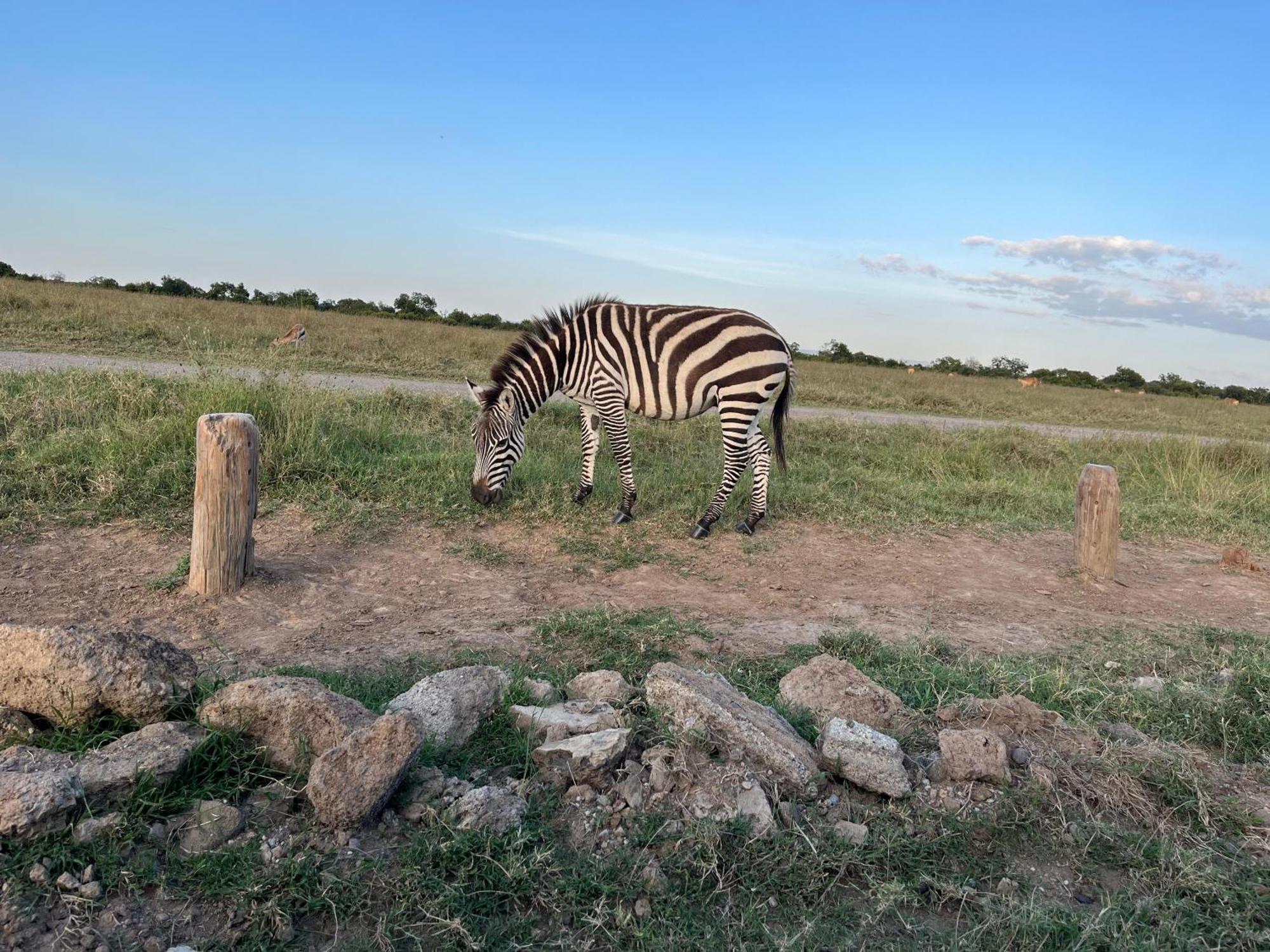 Rafiki House Hotel Nanyuki Eksteriør billede